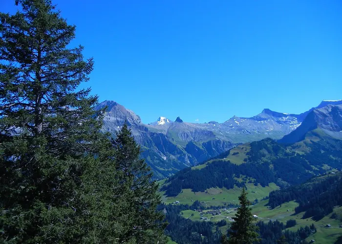 Restaurant Schermtanne Hotel Adelboden