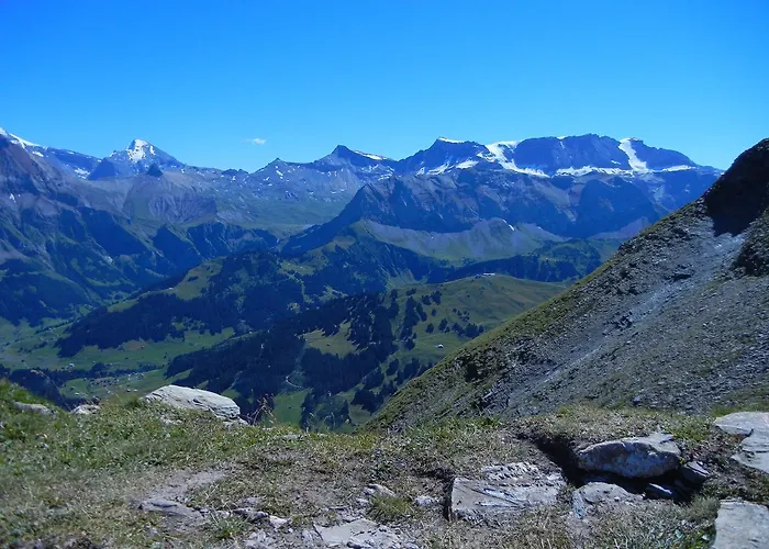 Restaurant Schermtanne ادلبودن