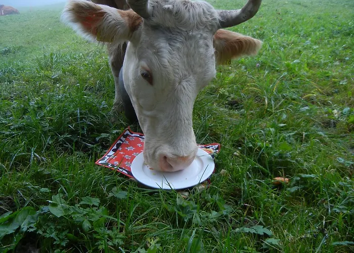 Restaurant Schermtanne Adelboden