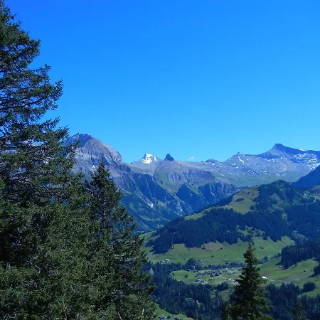Restaurant Schermtanne Hotel Adelboden