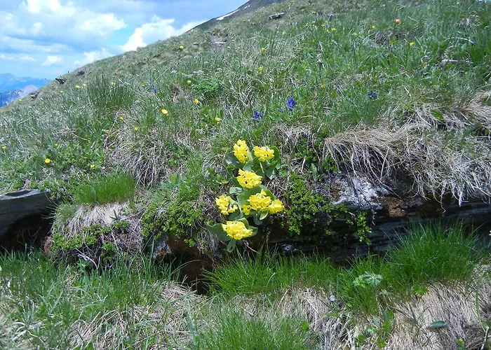 Hotel Restaurant Schermtanne